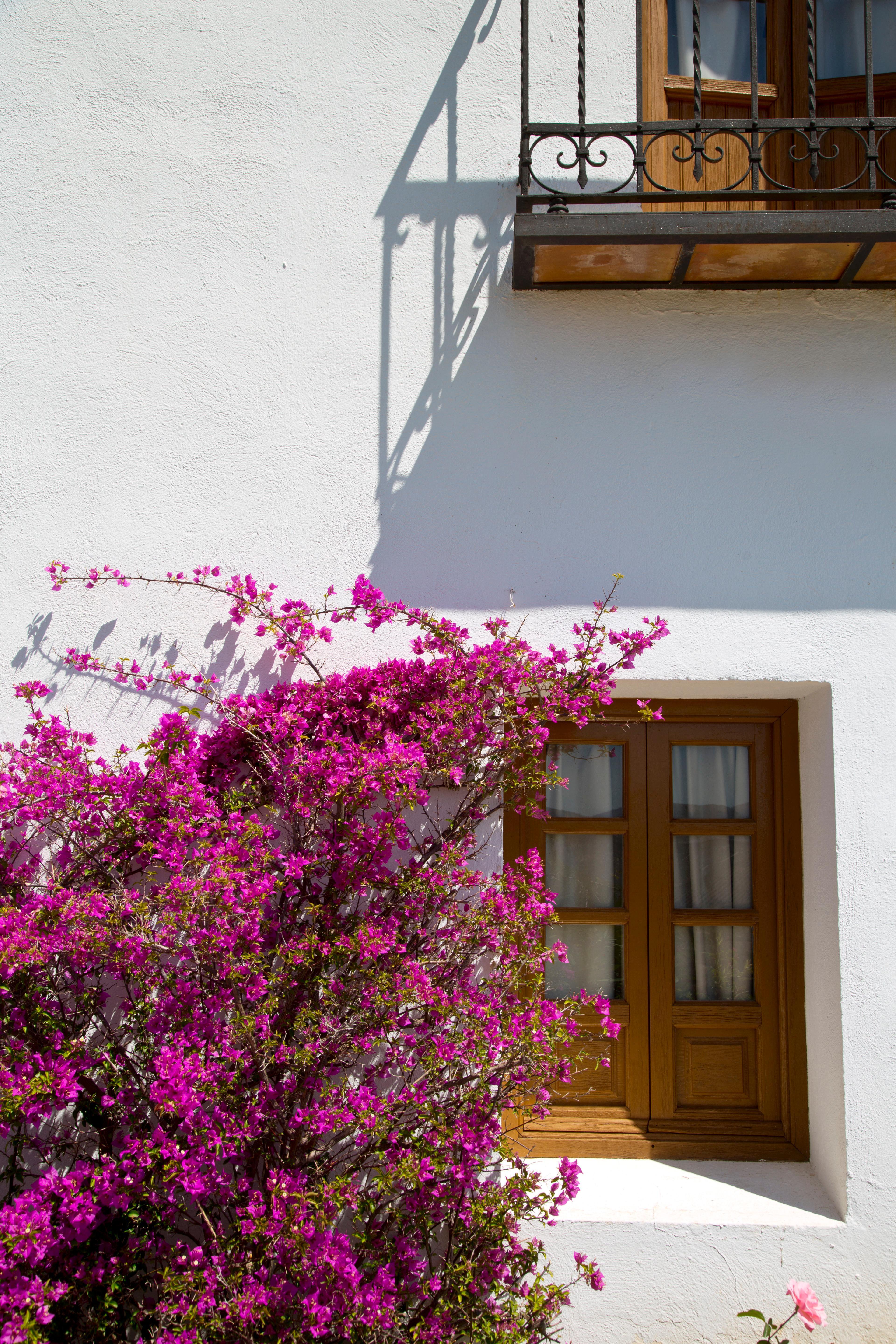 Villa Turistica De Priego Priego de Córdoba Extérieur photo